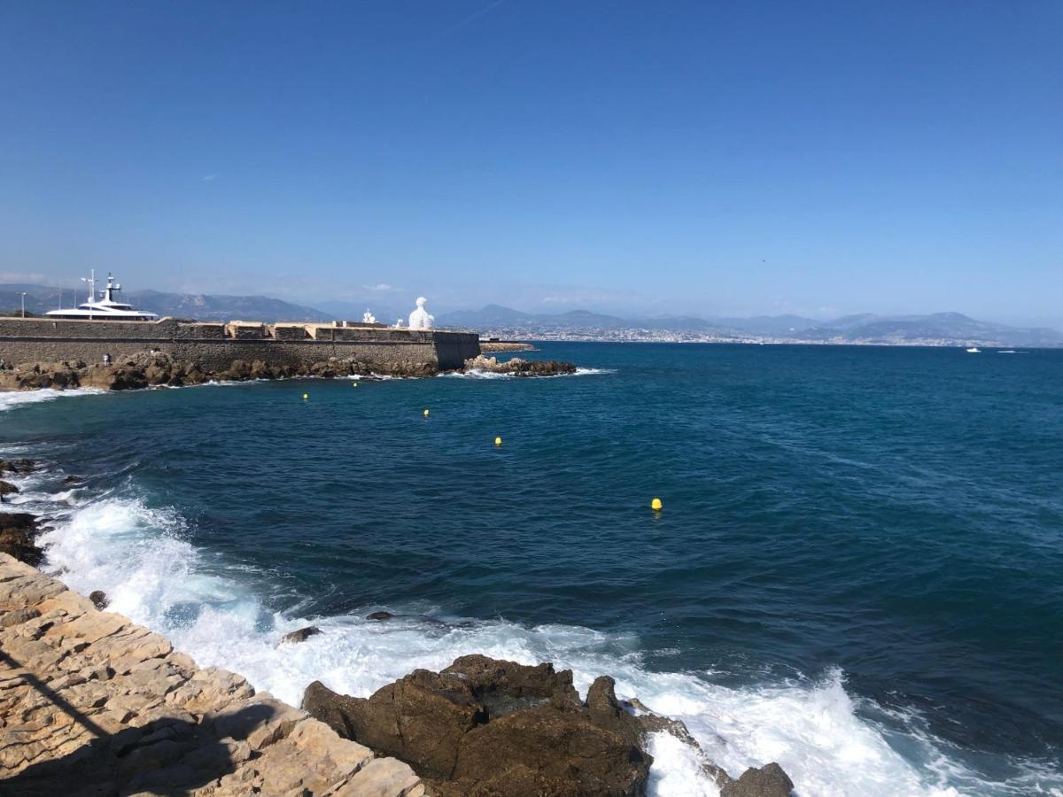 Ferienwohnung Vieil Antibes, Ravissant 2P Avec Petite Terrasse Exterior foto